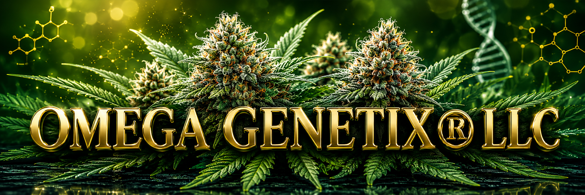 Omega Genetix Header